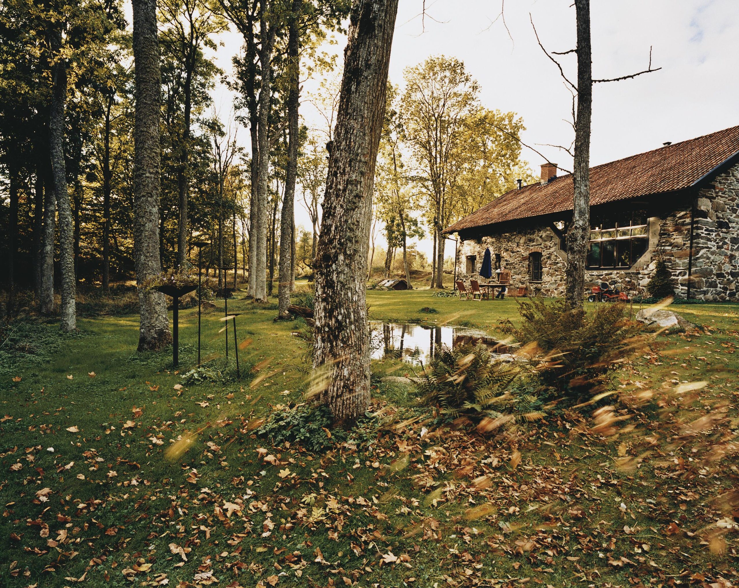 Skötsel höstgräsmatta